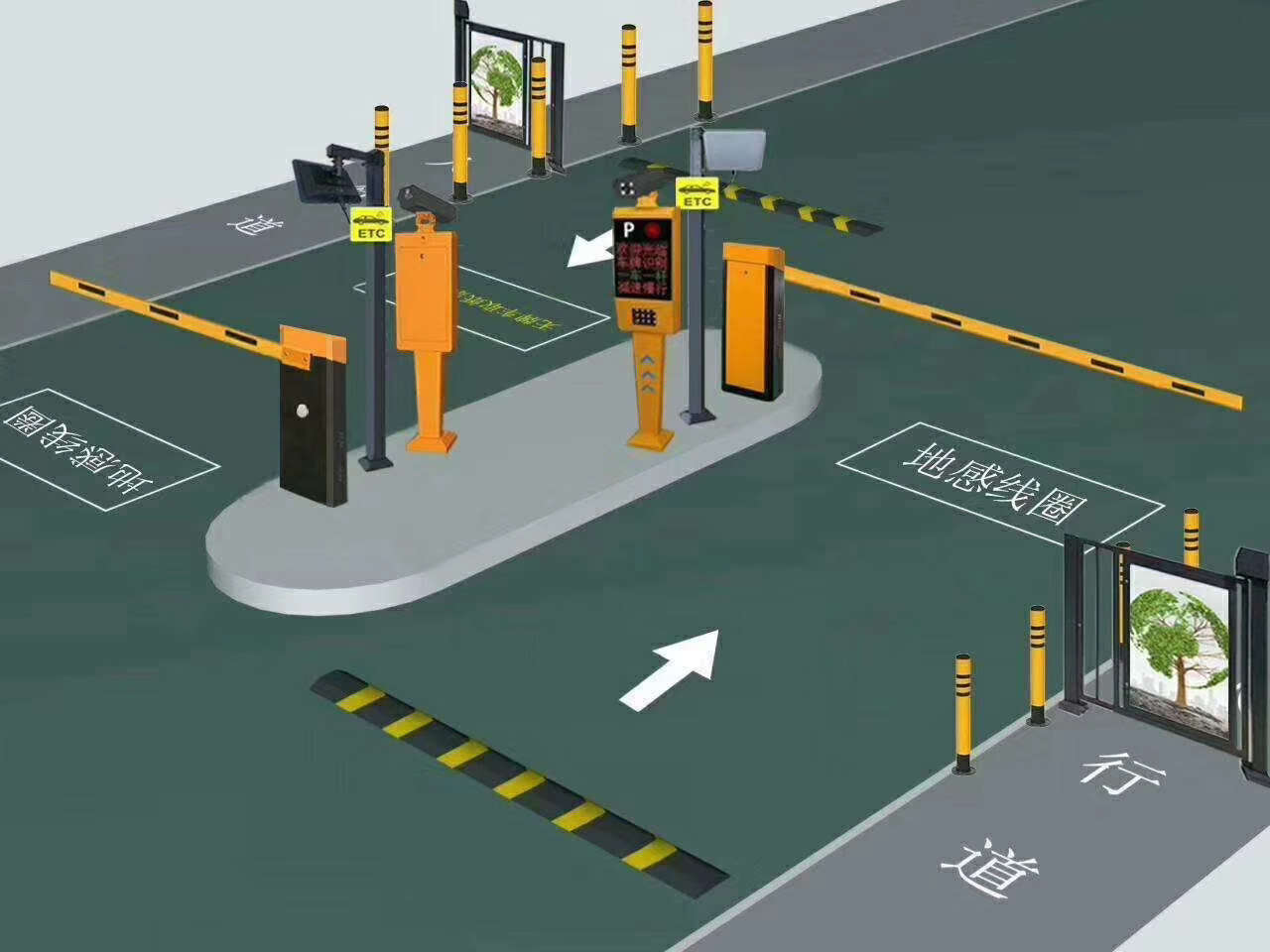 mmexport1580729888356.jpg